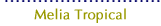 Melia Tropical